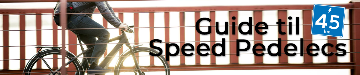 speed-pedelec-45-header