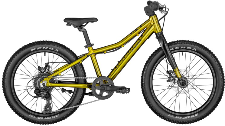 Cykler - Børnecykler - Bergamont Bergamonster 20 Plus Boy 2022