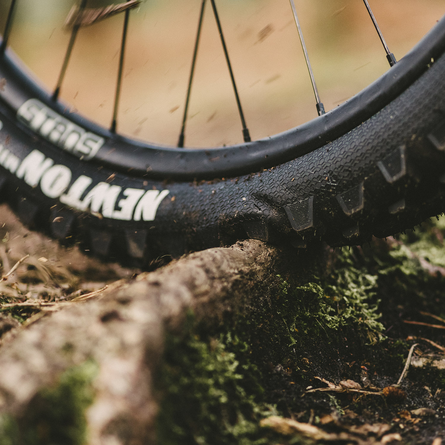 Reservedele - Cykeldæk - Goodyear Newton Enduro MTB Tubeless Complete 29x2.5 (Front)
