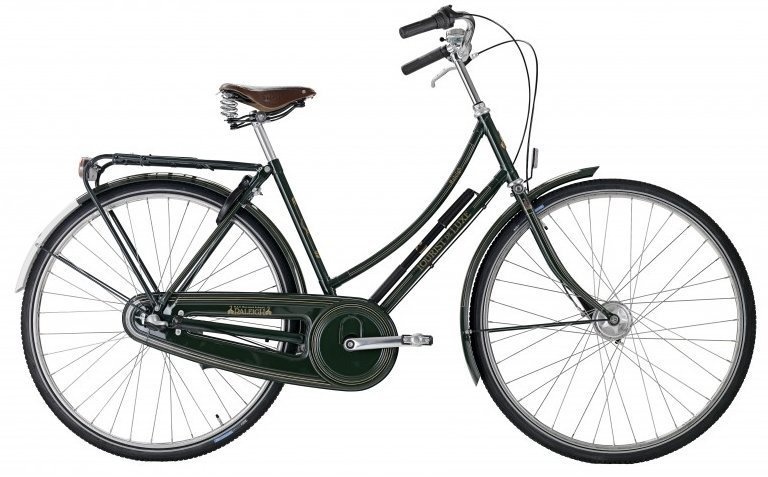 Cykler - Damecykler - Raleigh Tourist de Luxe Dame 3g 2023 - grøn