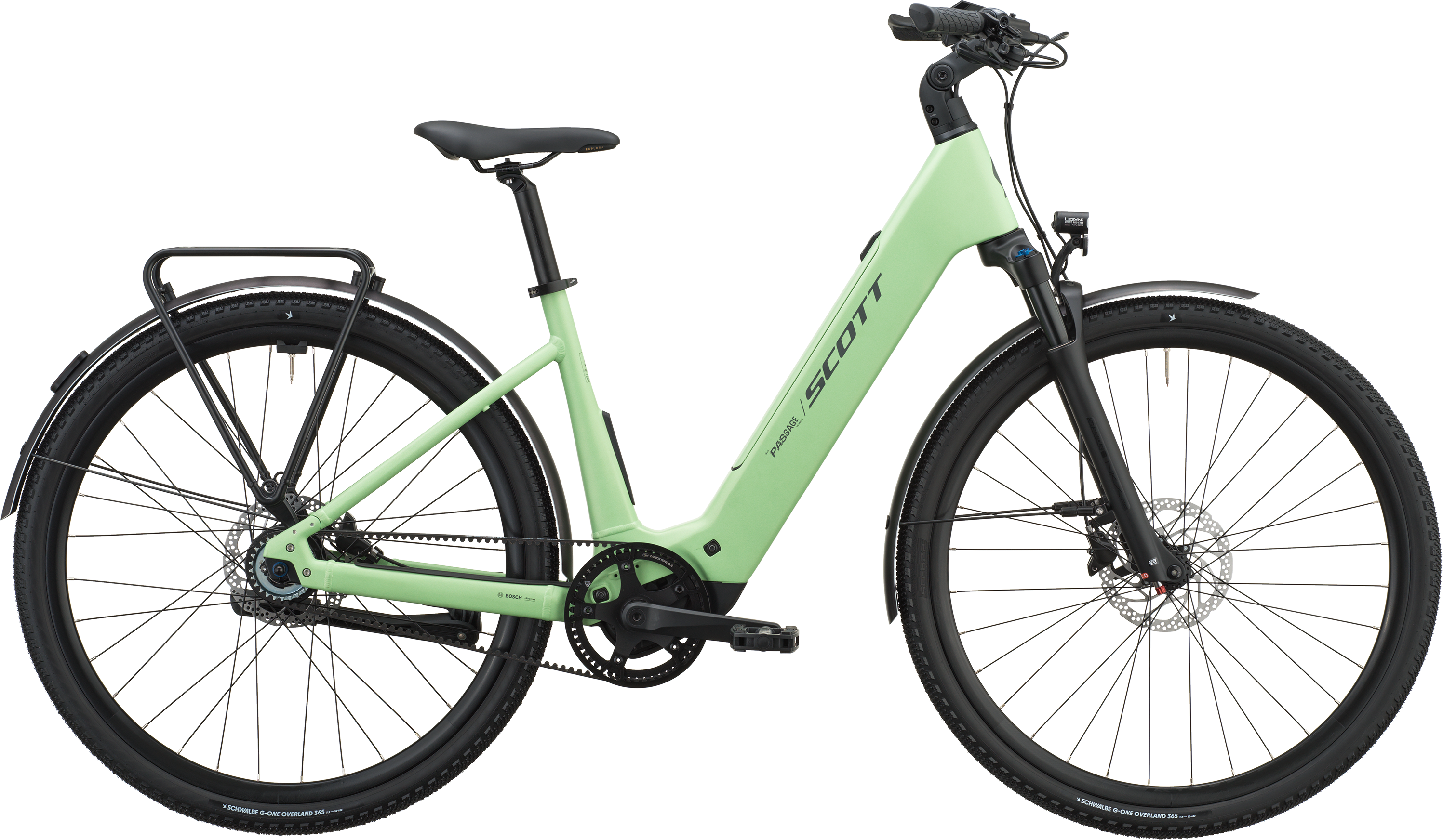 Scott Passage 10 Belt Wave 2027 - Paradise Green