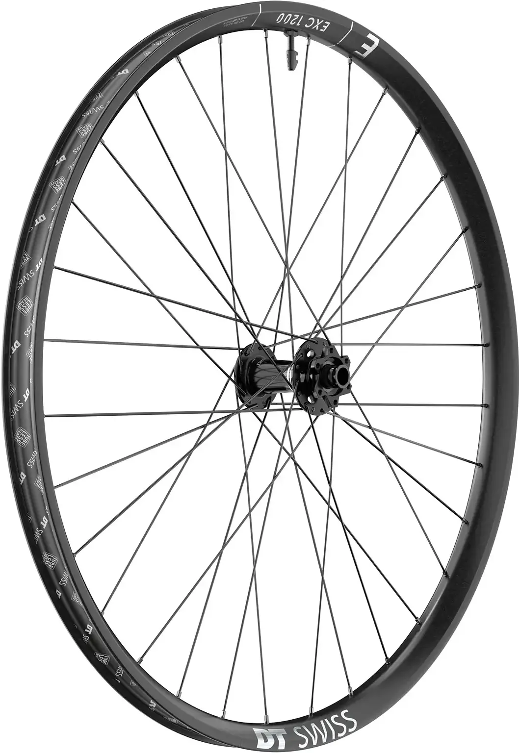 DT Swiss Wheel EXC 1200 Classic 22 29" Front