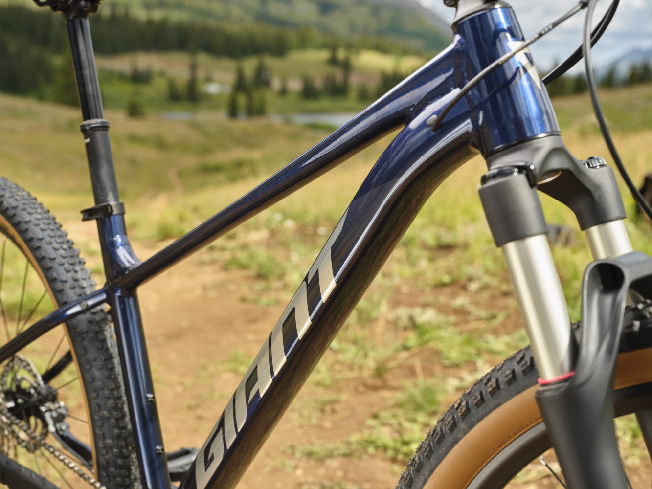 Cykler - Mountainbikes - Giant Talon 0 2025 - Ultra Navy
