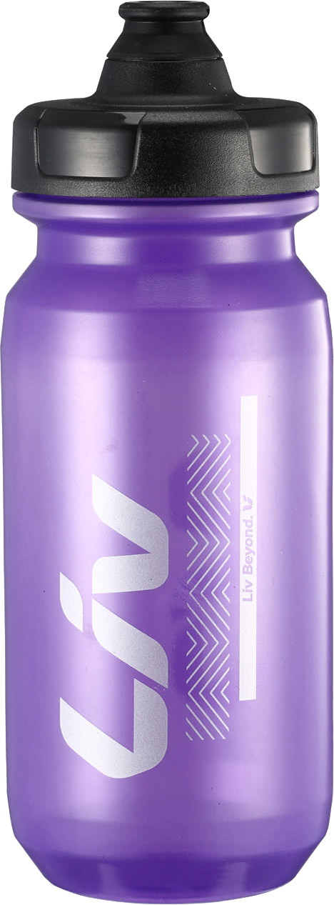 Giant Liv CleanSpring Drikkedunk 600ml - Purple/Silver