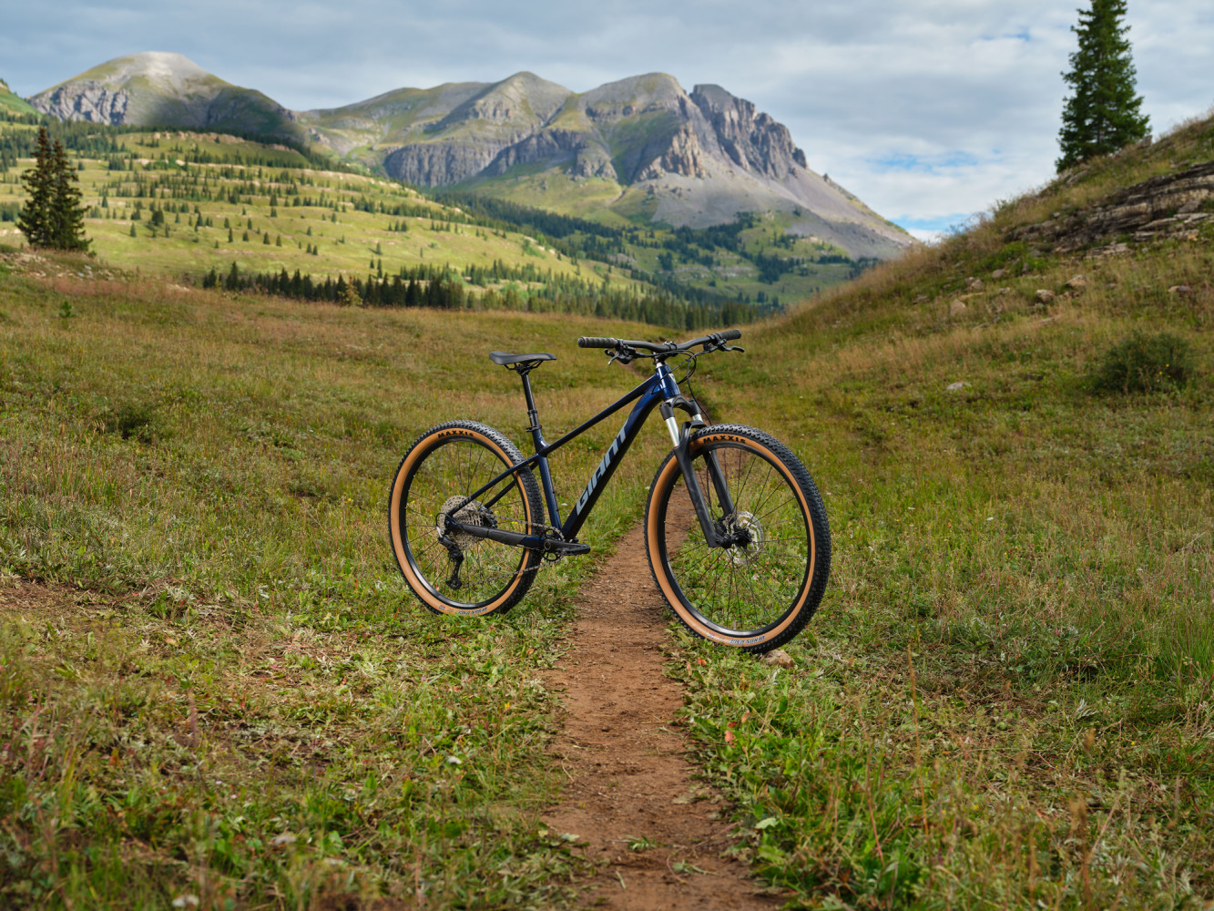 Cykler - Mountainbikes - Giant Talon 0 2025 - Ultra Navy