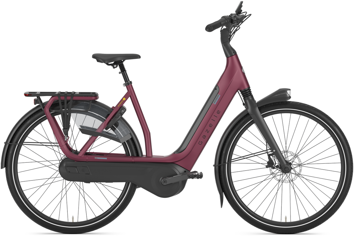 Avignon C8 Hmb Dame 2024 Lilla Fra Gazelle