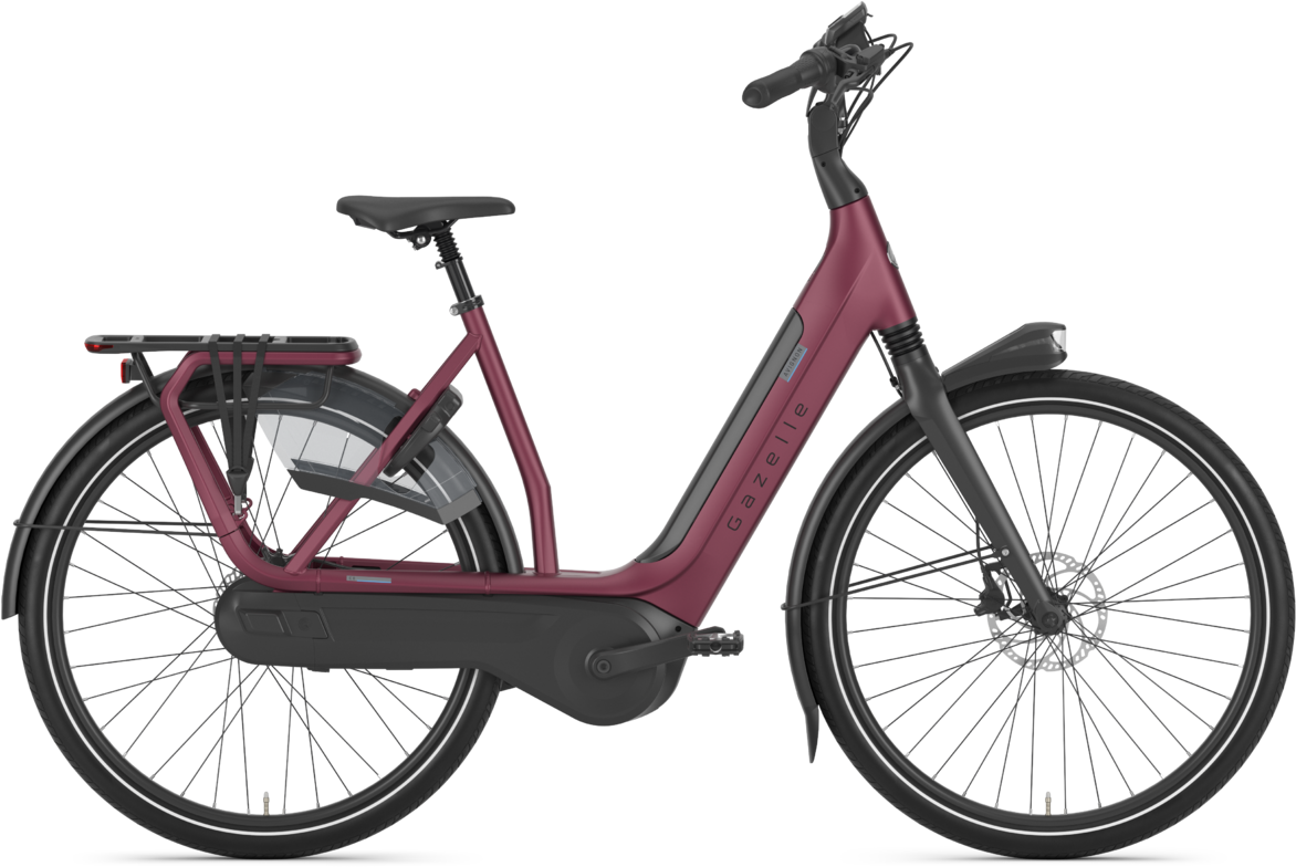 Avignon C8 Hmb Dame 2023 Lilla Fra Gazelle