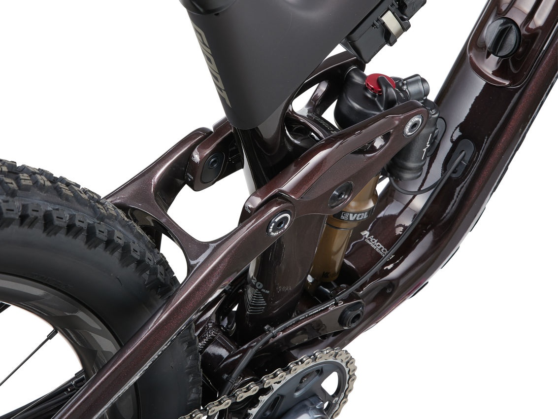 Cykler - Mountainbikes - Giant Trance Advanced Pro 29 1 2024