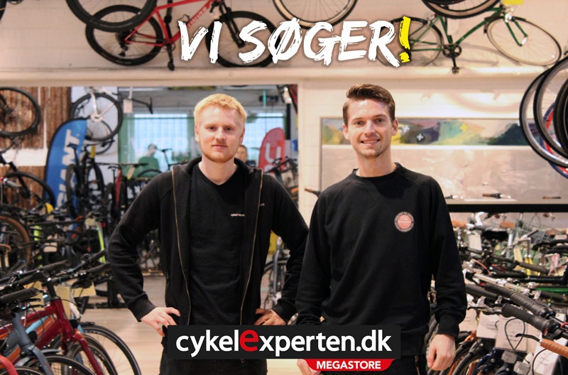 Vi søger - få job hos Cykelexperten