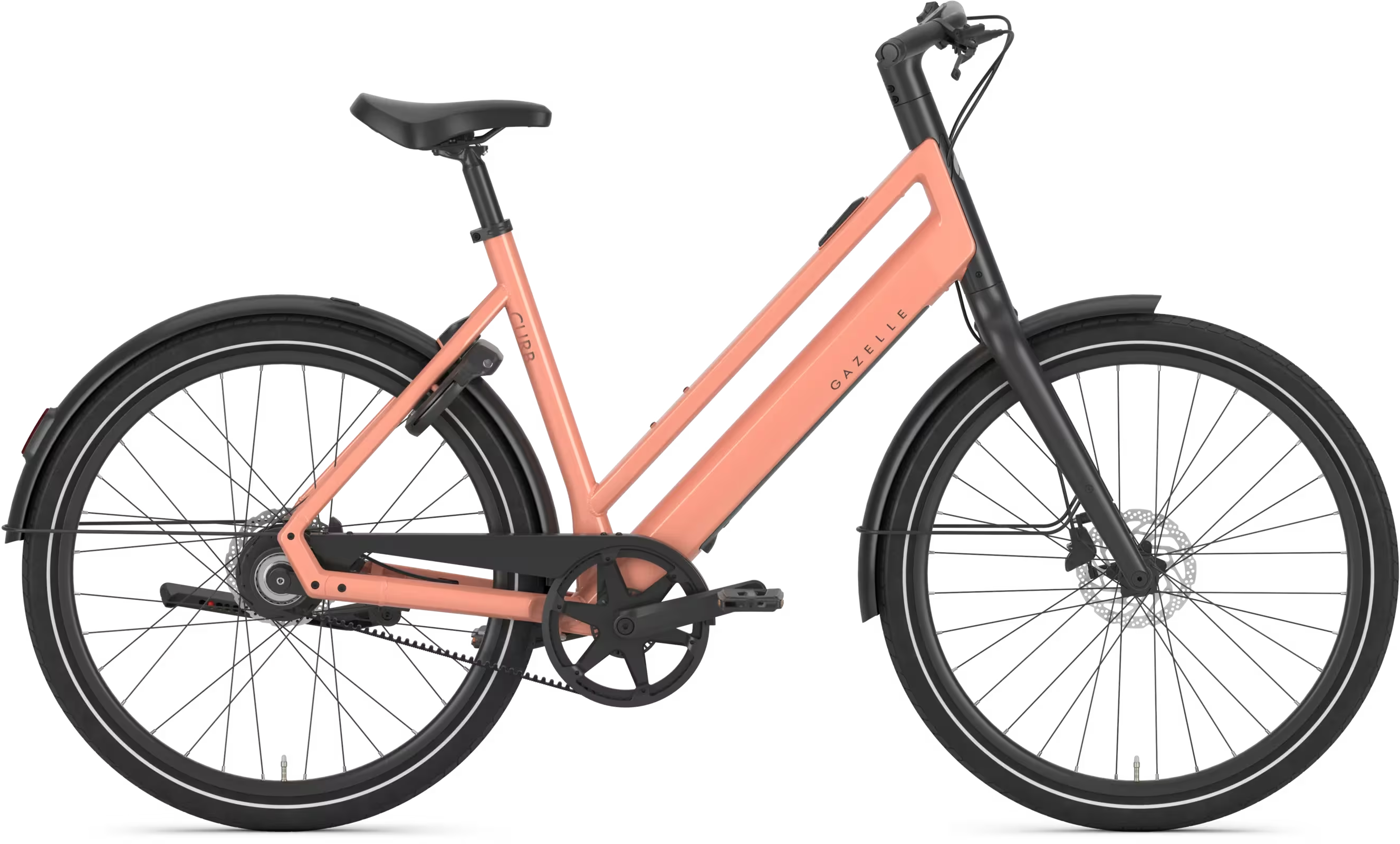Gazelle Curb C1 Dame 2027 - Soft Peach Blank