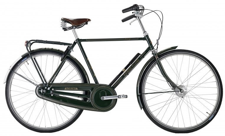 Raleigh Tourist de Luxe Herre 3g 2023 - grøn  »  Bike Size: 22"